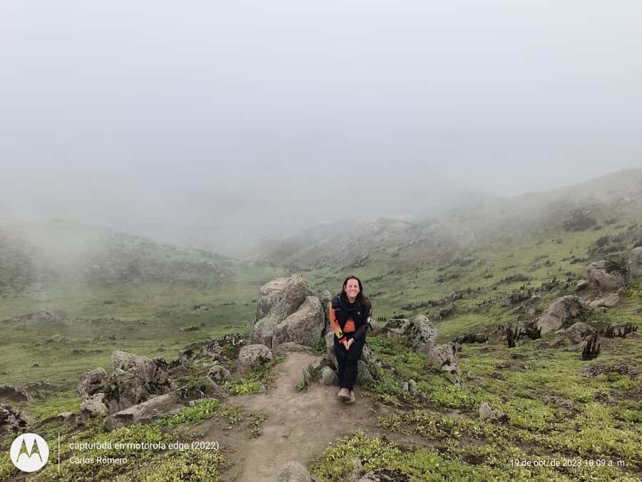 Hiking Lomas de Lachay in Lima - Who Should Consider This Tour?