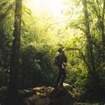 hiking medellin and hidden waterfalls - A Deep Dive into the Medellín Waterfalls and Cloud Forests Tour