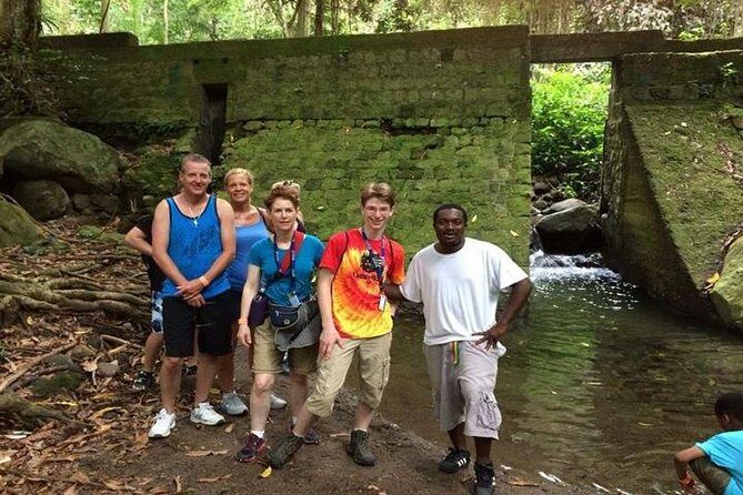 Hiking Mount Liamuiga Volcano in St Kitts - Who Will Love This Tour?