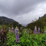 Hiking Mountains and Magical Forests - Highlights of the Itinerary