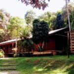 Hiking on the Cantareira Park - Final Thoughts: Is It Worth It?