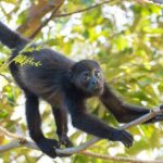 Hiking (Pax 2 persons minimun) - Frequently Asked Questions