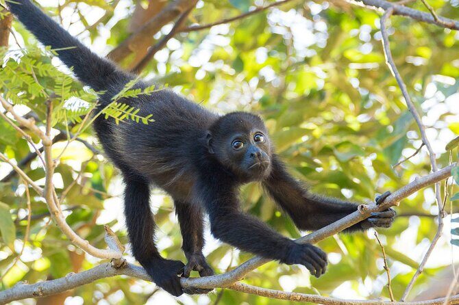 Hiking (Pax 2 persons minimun) - Frequently Asked Questions