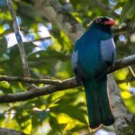 Hiking & Rivertubing at Cockscomb Basin - What We Loved and What to Consider