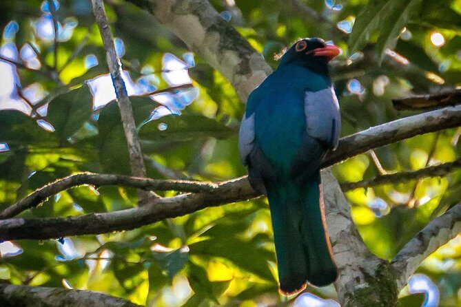 Hiking & Rivertubing at Cockscomb Basin - What We Loved and What to Consider