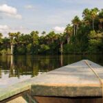 Hiking through the jungle and Sandoval Lake | Full day - Exploring the Amazon: What to Expect on the Tour