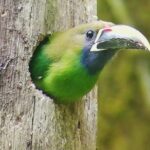 Hiking to Curi-Cancha Reserve - Authentic Experiences & Authenticity