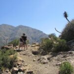 Hiking Tour in the Andes Mountains - Half Day Trip from Santiago - The Picnic and Refreshments