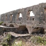 Historic Island Tour(Historic Barbuda tour also available)) - Who Should Consider This Tour?