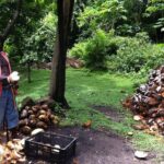 Historical 18th Century Estate Tour with Coconut Tasting - Final Thoughts