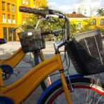 Historical and culture biking tour- Cultural shore excursions - Key Points