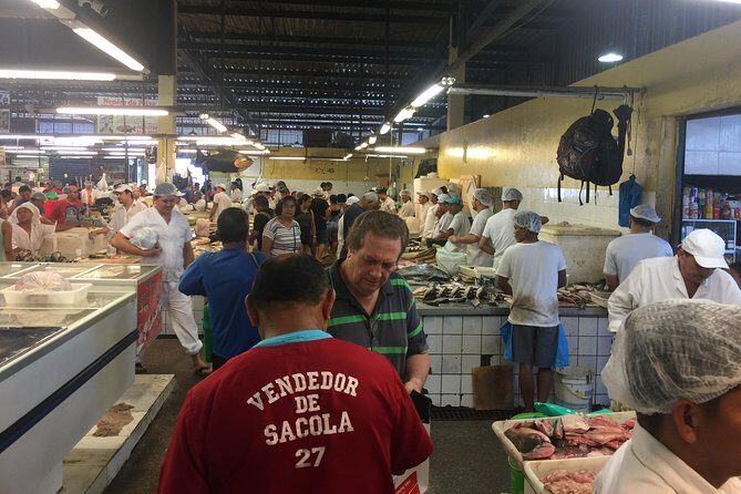 Historical City Tour - A Complete Look at the Manaus City Tour