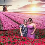 Holambra: Flowers & Windmill, The Little Piece Of Netherlands in Brazil - A Deep Dive into the Holambra Experience