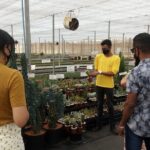 Holambra - The City of Flowers - Who Is This Tour Best For?