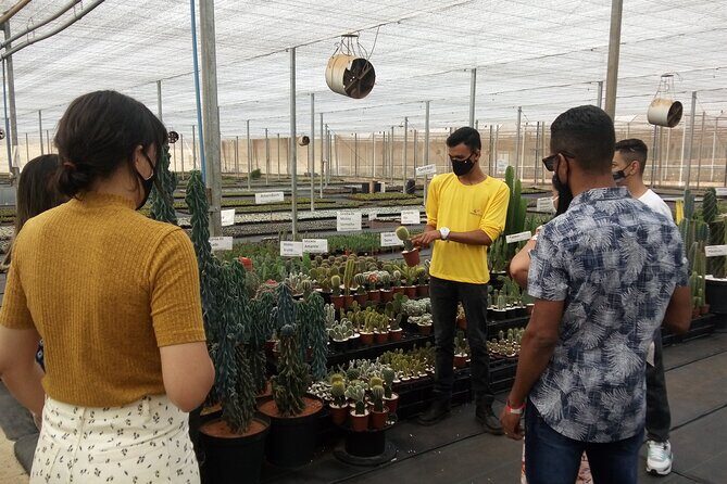 Holambra - The City of Flowers - Who Is This Tour Best For?