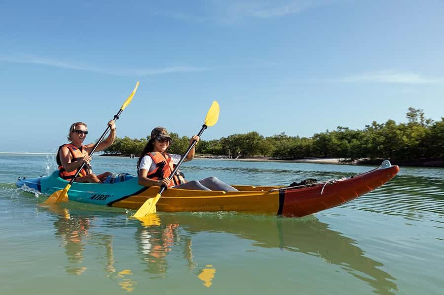Holbox: Sunrise Kayak Tour through the Mangroves - Why This Tour Offers Good Value