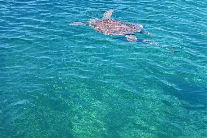 Honor Roll Private Bahamas Boat Charter - Practical Tips for Making the Most of Your Bahamas Boat Trip