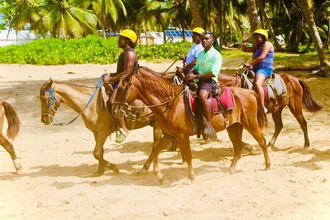 Horse Back Riding Adventure in Punta Cana - Who Will Love This Tour?