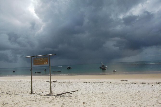 Horse back riding and Eco tourism food and fun. - FAQs