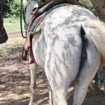 Horse Ride and Hike Tour to Pigeon Island with Lunch with Dore's - Who Should Consider This Tour?