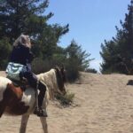 Horse Ride & BARBECUE on Ritoque Beach&Sand Dunes FROM VALPARAISO - A Detailed Look at the Ritoque Beach Horseback Tour
