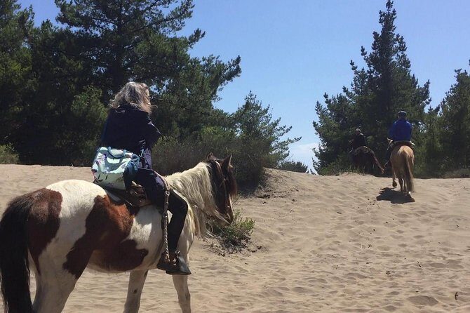 Horse Ride & BARBECUE on Ritoque Beach&Sand Dunes FROM VALPARAISO - A Detailed Look at the Ritoque Beach Horseback Tour