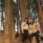 Horse ride through Sacsayhuaman, Qenqo and eucalyptus forest - Authentic Experience and Practical Details