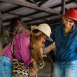 Horse Riding at La Mello Adventure Lodge - The Sum Up: Who Should Consider This Tour?