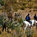 Horse Riding Chacan Mountain And Temple Of The Moon - Is This Tour Right for You?