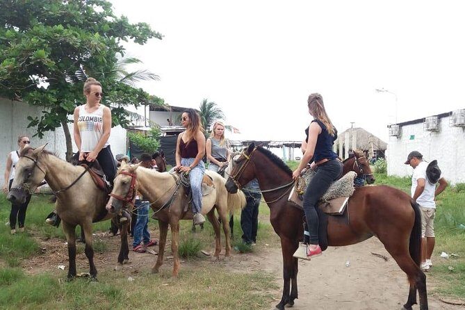 Horse Riding in Cartagena - FAQ