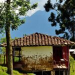 Horse riding tour - FAQ: Your Questions Answered