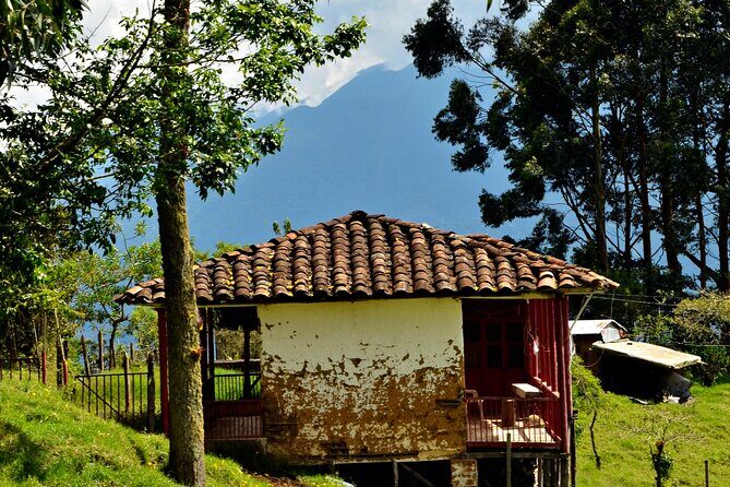 Horse riding tour - FAQ: Your Questions Answered