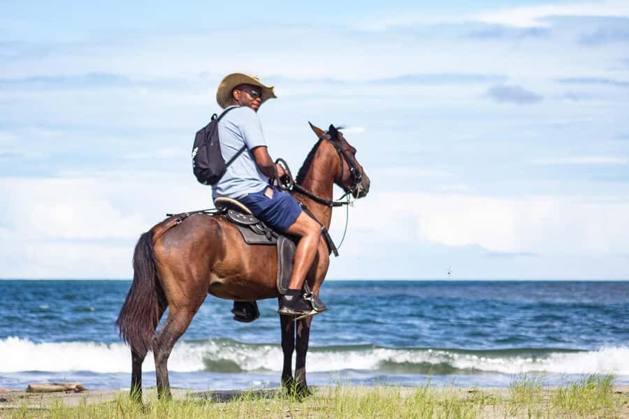 HORSE TOUR IN CARTAGENA BEACH - In-Depth Review: What to Expect from the Cartagena Beach Horse Tour