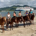 Horse Tours on the Beach and Mountains in Puerto Plata - Why Choose This Tour?