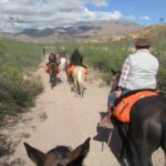 Horseback expedition to The Andes, 3 days - Is It Worth the Cost?