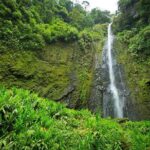 Horseback our Hacienda - 4 hours Coffee Tour - Why This Tour is a Hidden Gem