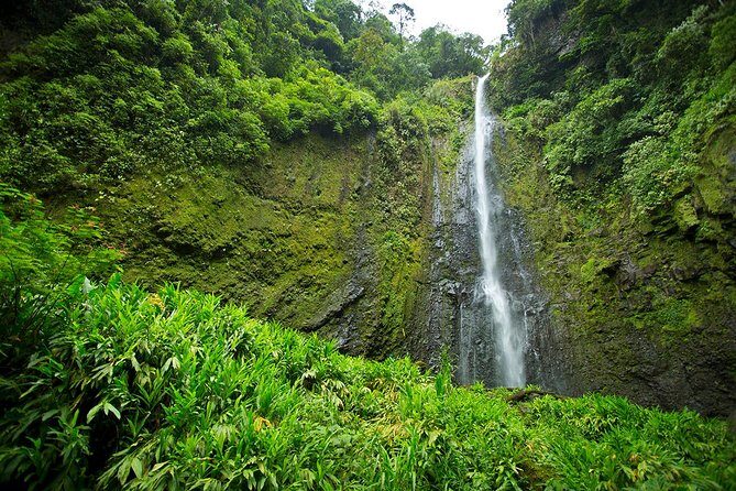 Horseback our Hacienda - 4 hours Coffee Tour - Why This Tour is a Hidden Gem