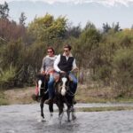 Horseback Private Wine Tour and Country Grill from Santiago - Who Should Consider This Tour?