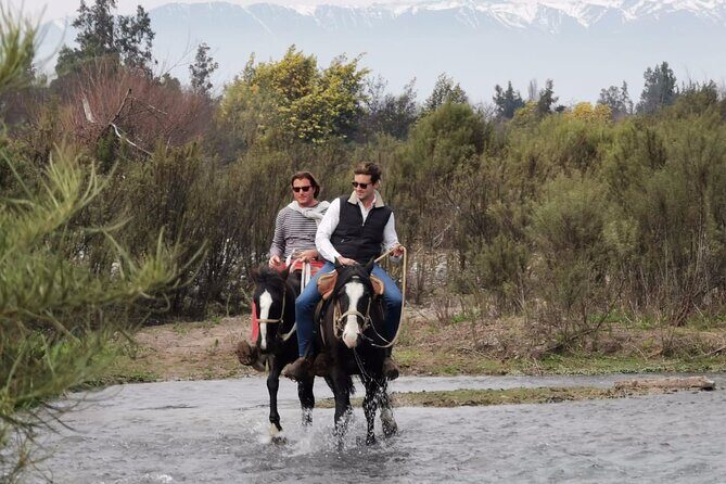 Horseback Private Wine Tour and Country Grill from Santiago - Who Should Consider This Tour?