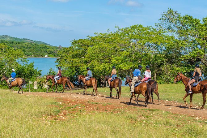 Horseback Ride and Swim from Ocho Rios - FAQs