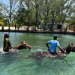 Horseback Ride and Swim Guided Tour from Montego Bay - Frequently Asked Questions