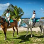 Horseback Ride and Swim Jamaica - Why This Tour Works Well