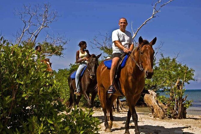 Horseback Ride and Swim Private Tour from Montego Bay - The Sum Up