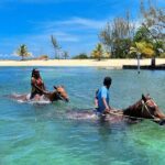 Horseback Ride and Swim Private Tour In Montego Bay - The Practicalities: What You Need to Know
