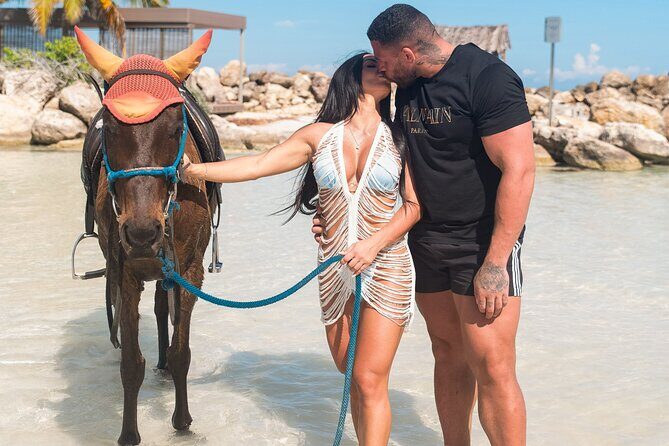 Horseback Ride and Swim Tour In Montego Bay - Authenticity and Value