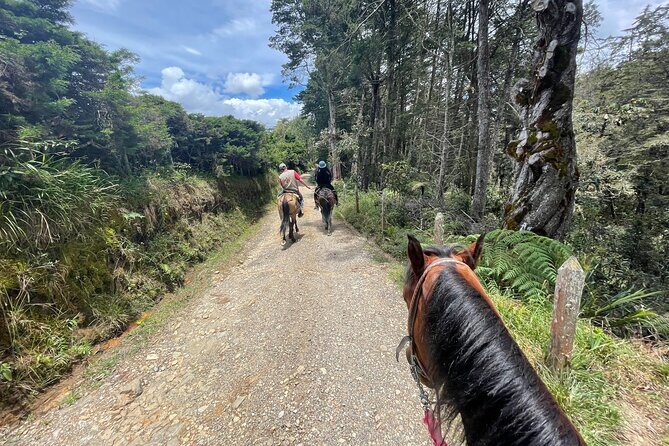 Horseback Ride Around Medellín's Beautiful Countryside! - Who Should Consider This Tour?