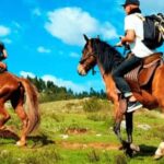 Horseback ride by Sacsayhuaman Qenqo-Cusco - Who Will This Tour Suit Best?
