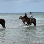 Horseback Ride from Ocho Rios - Final Thoughts: Who Should Consider This Tour?
