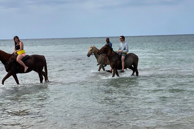 Horseback Ride from Ocho Rios - Final Thoughts: Who Should Consider This Tour?