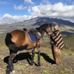 Horseback Ride & Hike in Cotopaxi Volcano Day Trip from Quito - FAQs